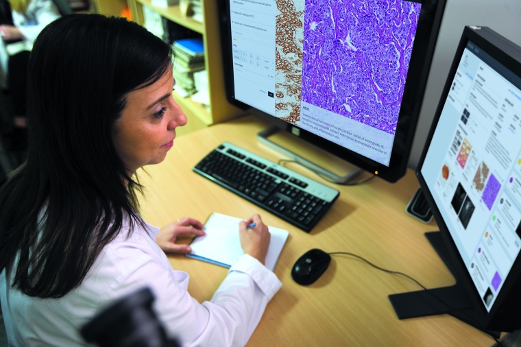 Eine Onkologin bereitet eine Tumorkonferenz mit Hilfe von NAVIFY vor. Foto:...