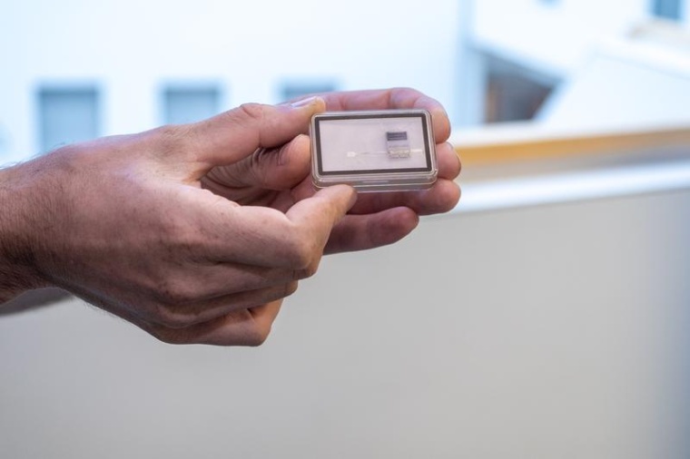 Elektrode, Foto: Reinhard Blumenstein, LIN