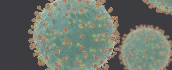 Coronavirus SARS-CoV-2 Foto: Felipe Esquivel Reed; Lizenz: CC BY-SA 4.0