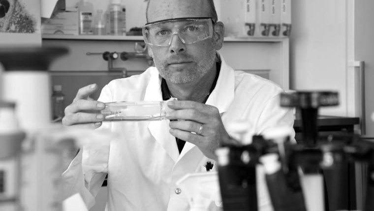 Wie das Immunsystem auf das Coronavirus reagiert, analysiert Empa-Forscher...