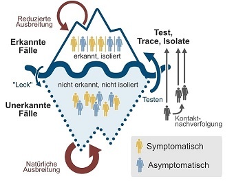 Unterschiedliche Ausbreitungsgeschwindigkeiten: Das Modell zeigt, dass sich das...