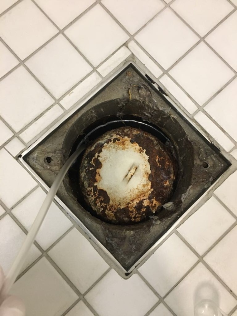 Probennahme aus einem Duschablauf