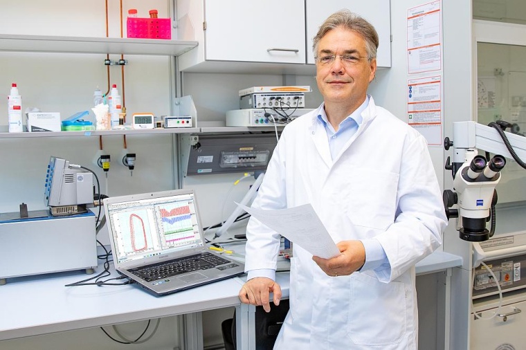 Dr. Sandor Batkai mit einem Screening-Bild zur Analyse der Herzfunktion. Foto:...