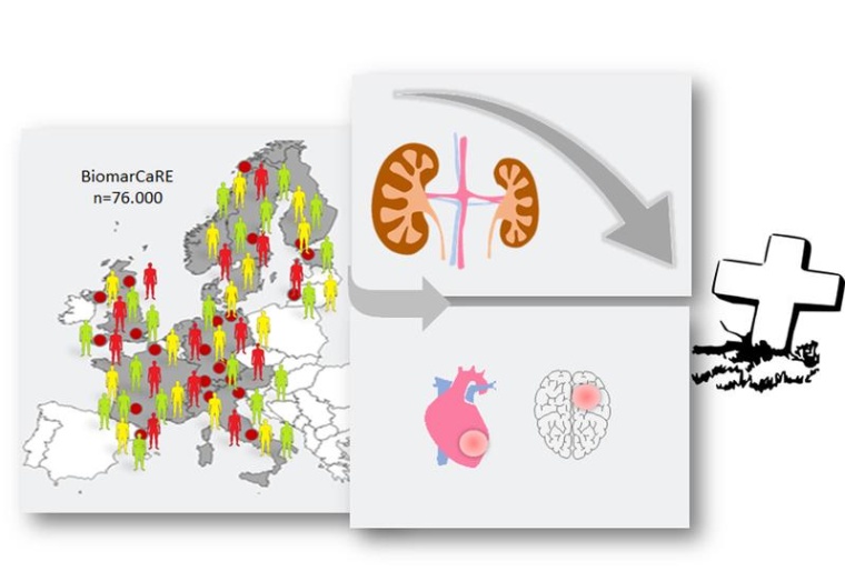 Herzinfarkt, Schlaganfall und Nierenerkrankungen verstärken sich gegenseitig...