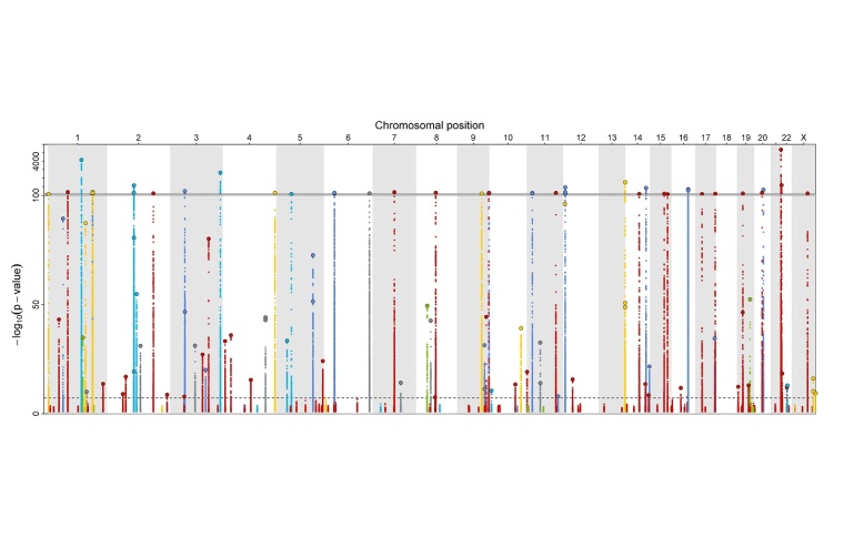 Darstellung von 179 menschlichen Proteinen und ihrem Bezug zu SARS-CoV-2 bzw....