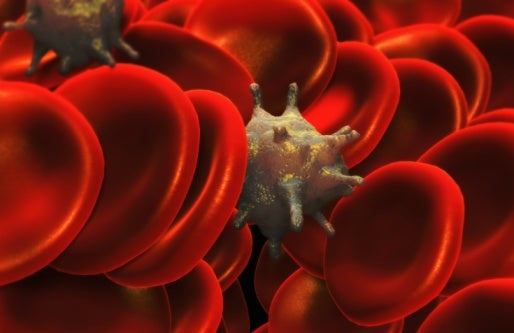 Wiley: Blutplättchen, gettyimages 56777565