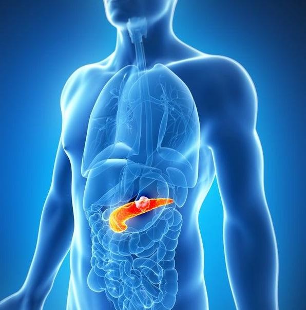 Wiley: shutterstock 513094789