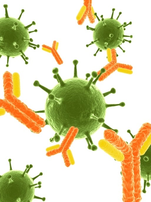 Antikörper attackieren Virus, Wiley: 113477121