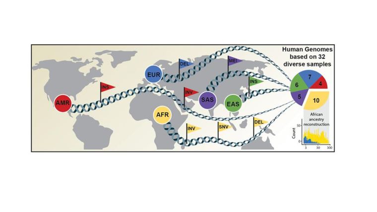 Umfassende Kartierung genetischer Variationen (symbolisiert durch Fähnchen)...