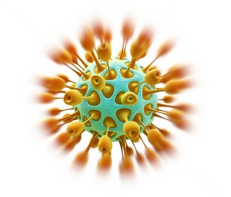 Corona: Wiley, 530290196