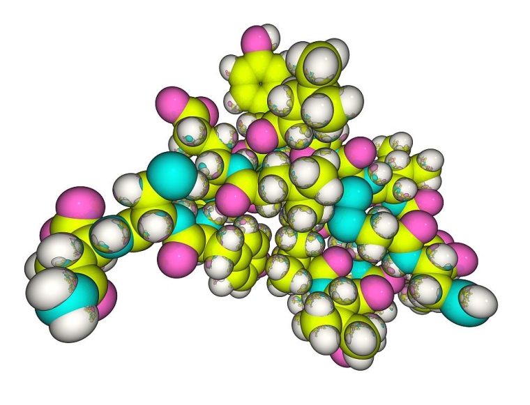 Model menschlichen Insulins. Foto: Getty Images 157770749