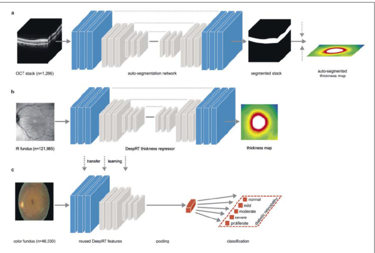 Modalitätenübergreifender selbst-überwachter Workflow: Deep Learning braucht...
