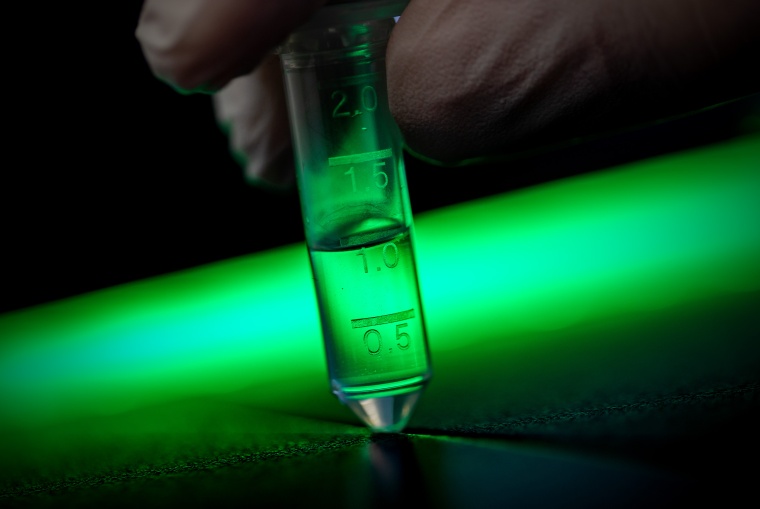 In einem Mikroreaktionsgefäß, gefüllt mit 1 ml Flüssigkeit befindet sich...