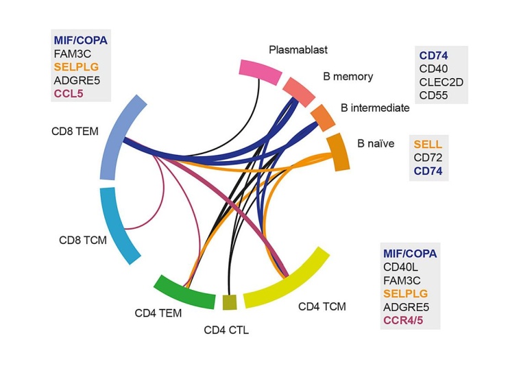 Auf Einzelzellsequenzierung basierende bioinformatische Analyse einer...