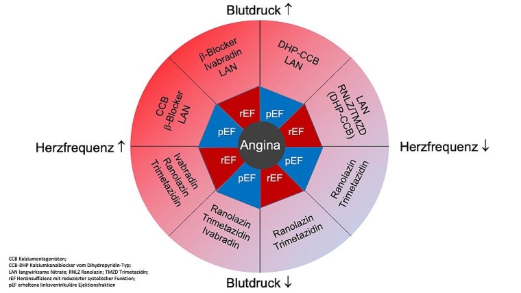 Der antianginale Kompass empfiehlt Medikamente für Patienten mit chronischem...