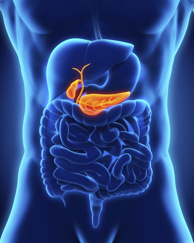 Wiley: Gettyimages 505502343