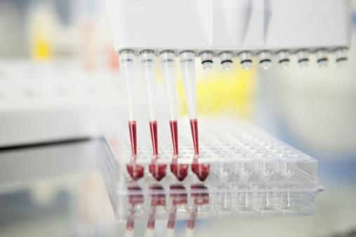 Foto: Shutterstock 163251517