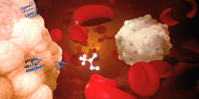 Acetat versetzt weiße Blutkörperchen (neutrophile Granulozyten) über...