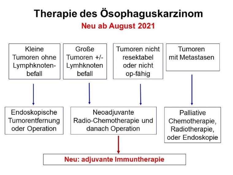 Konzept der multimodalen Therapie. Bildquelle: Universitätsmedizin Mainz