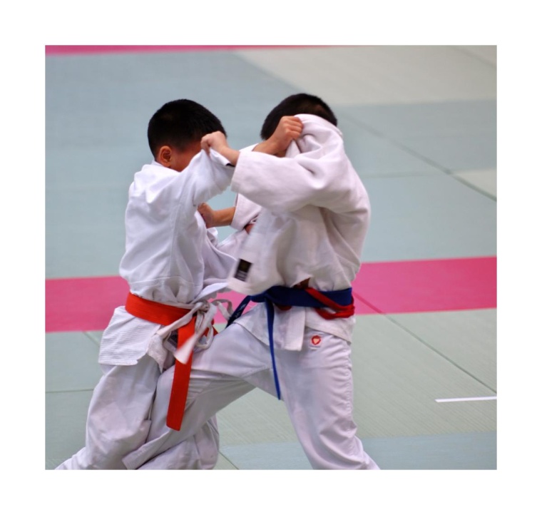 Foto: shutterstock 3704791