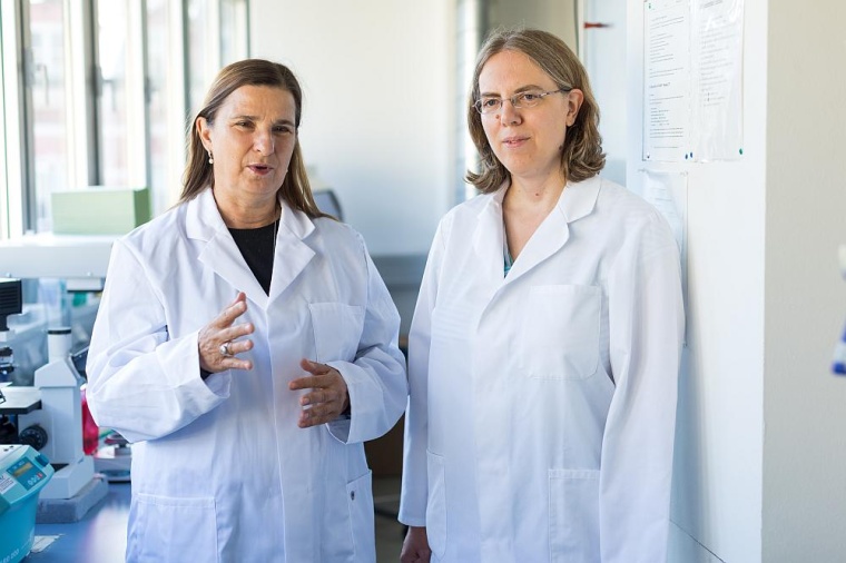 v.l.: Die Virologinnen Dorothee von Laer und Janine Kimpel. Foto: MUI/F. Lechner