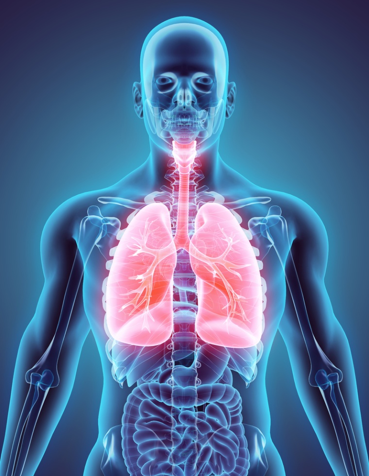 Wiley: yodiyim/Getty Images 530197244