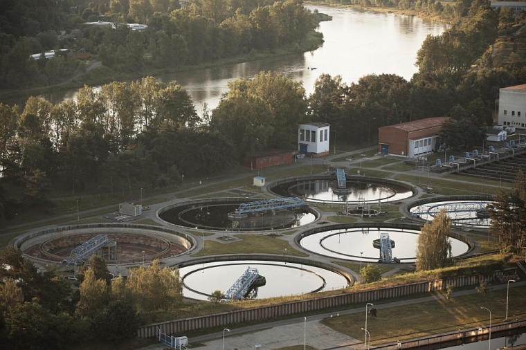 Foto: Wiley / iStock 178363652