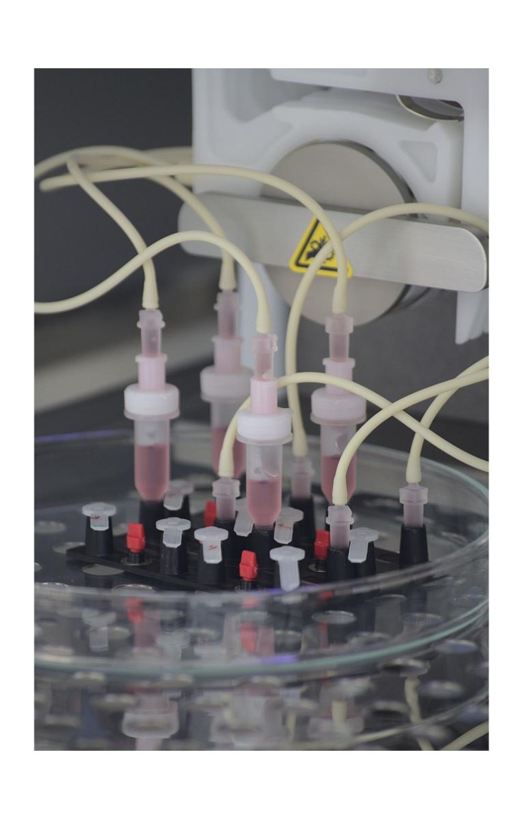 Im Inno4Vac-Verbund entwickelt das INSPIRE-Team am Universitätsklinikum Jena...