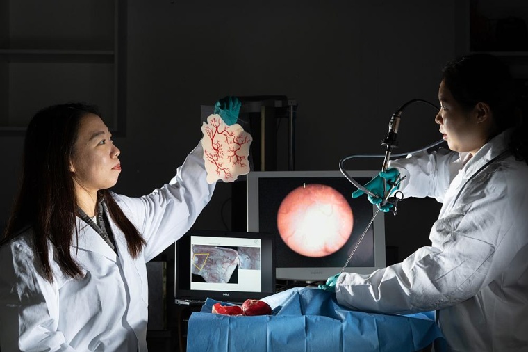 Intelligente künstliche Organe verbessern Ausbildung und Operationen Foto: W....