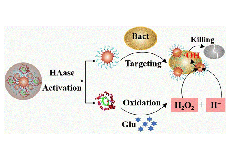 Antibakterielle Nanozyme Foto: Wiley-VCH