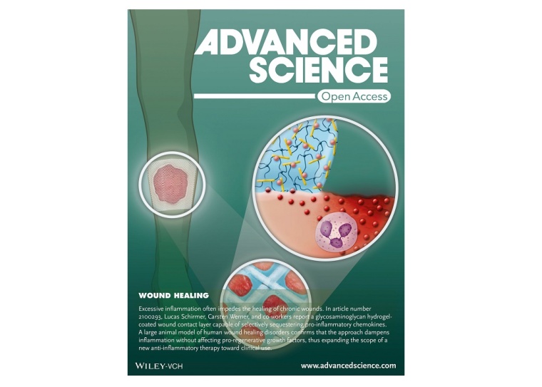 Schema/Coverbild Foto: Wiley-VCH GmbH