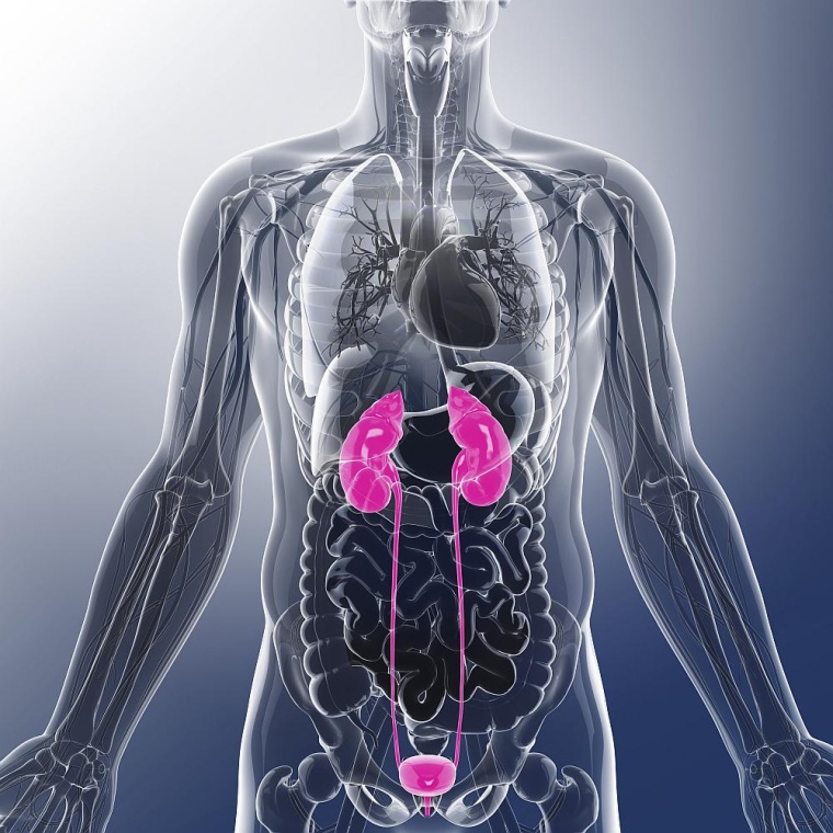 Foto: Getty Images 478187451