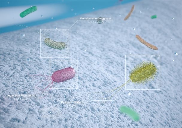 Lebende Mikroorganismen wie Bakterien, Pilze und Protozoen in einer Flüssigkeit