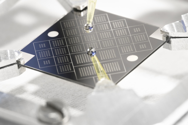 Die in Siegen entwickelten Biochips sind nur 2,2 Quadratzentimeter groß und...