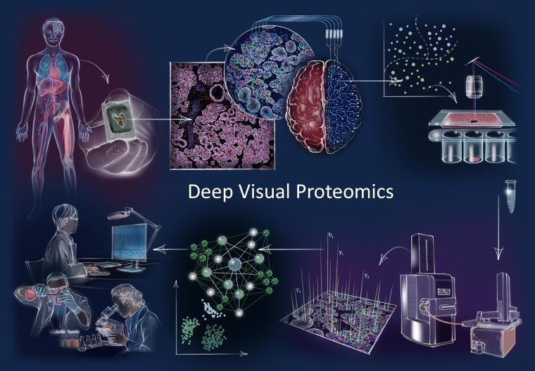 Deep Visual Proteomics Konzept und Arbeitsablauf. Illustration: Juliet...
