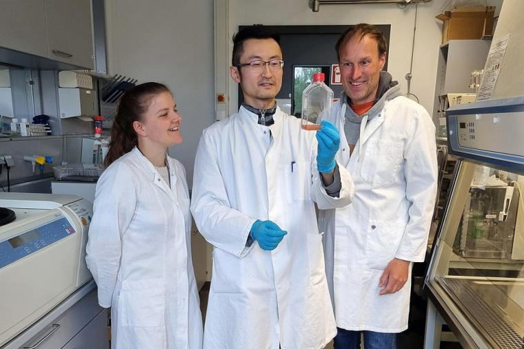 Die BRICS-Forschenden Doktorandin Antonia Henne, Postdoc Dr Wei He und Prof....