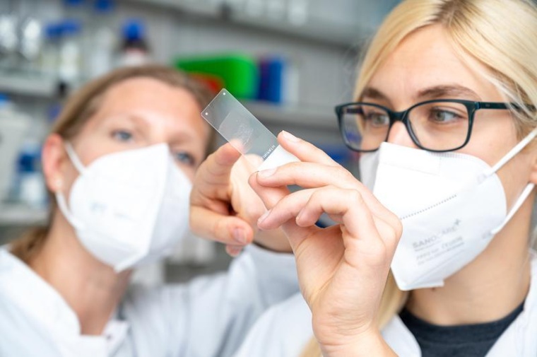 Positive Auswirkungen auf Krankheitsverlauf von Magenkrebs durch Immuntherapie....