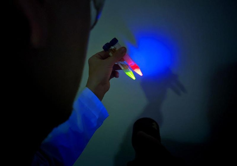 Biokonjugierte Quantenpunkte für Multiplex-Bioimaging und -sensorik für die...