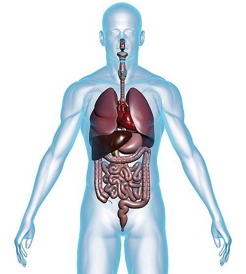 © Getty Images 172750026