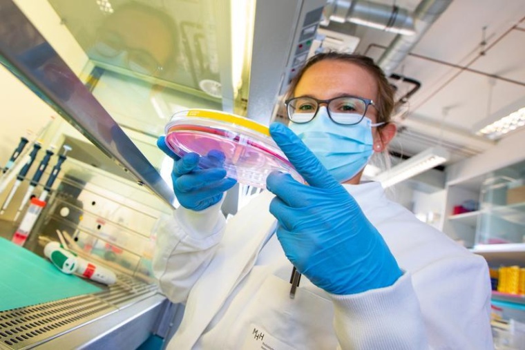 Hat die neuen Vektoren für die Gentherapie bei krankhafter...