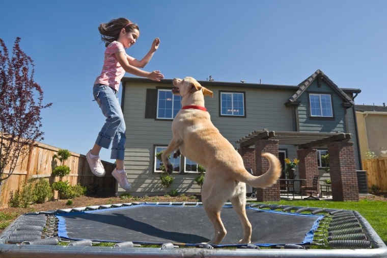 Foto: Getty Images 146883603