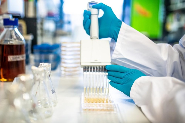 Molekulare Untersuchung im Labor, Foto: Charité / Jacqueline Hirscher