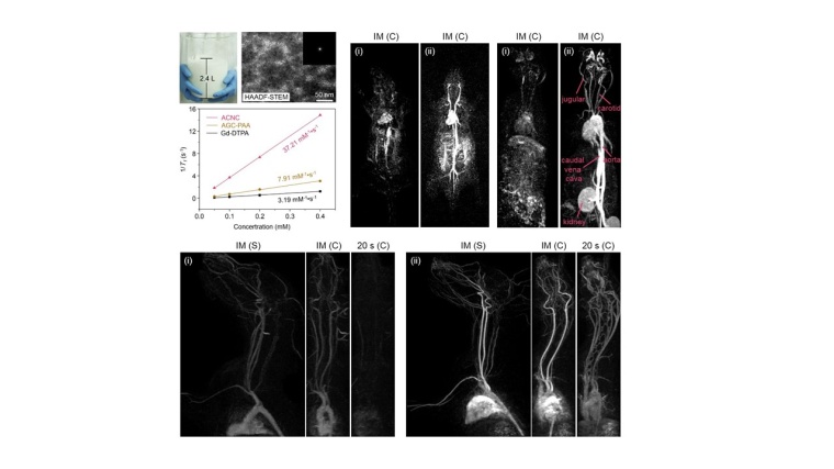 In allen Fällen ist der deutlich höhere Kontrast mit dem neu entwickelten...
