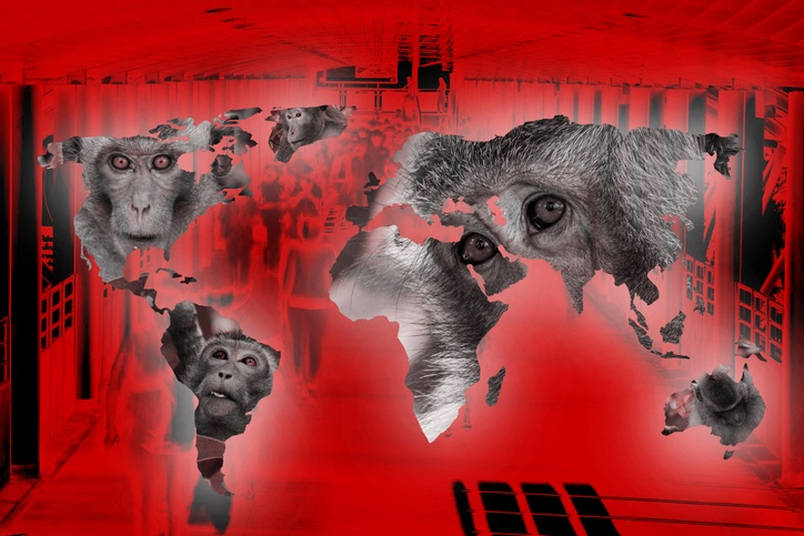 Foto: Wiley / Getty images