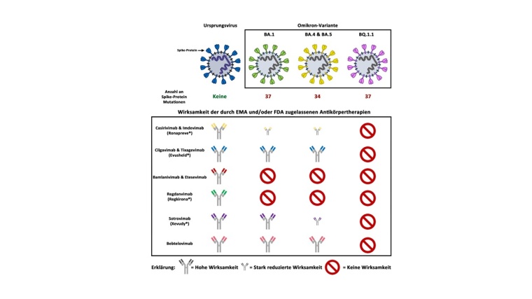 Die Omikron-Untervariante BQ.1.1 ist die erste Variante, die gegen alle derzeit...