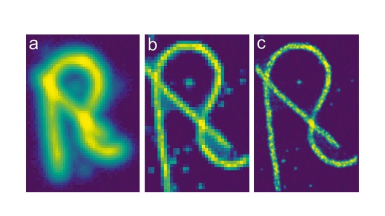 Mikrotubuli, aufgenommen mit hochauflösender Mikroskopie (SMLM). Die...