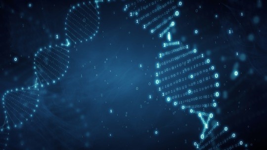 Foto: iStock / FlashMovie