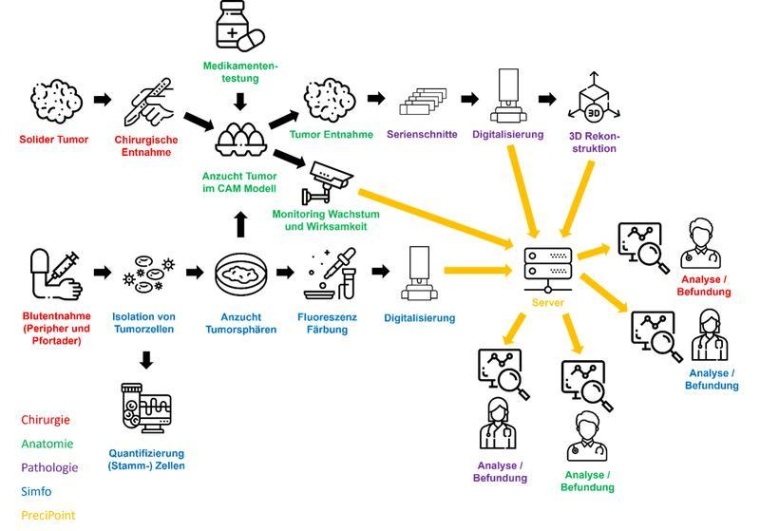 Workflow der Analysen, der die Zusammenarbeit der beteiligten Partner...