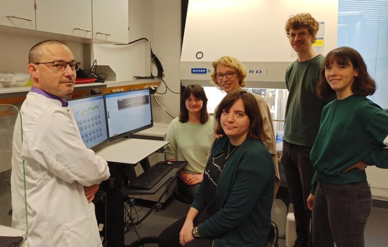 Die Marburger Arbeitsgruppe um Prof. Dr. Magdalena Huber identifizierte den...