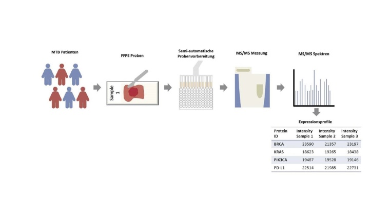 Übersicht über die einzelnen Schritte einer typischen proteomischen...